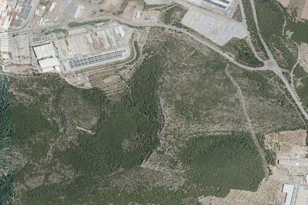 Castellón/Castelló