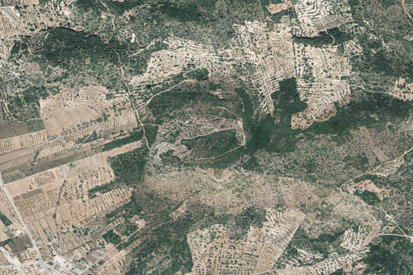 Castellón/Castelló