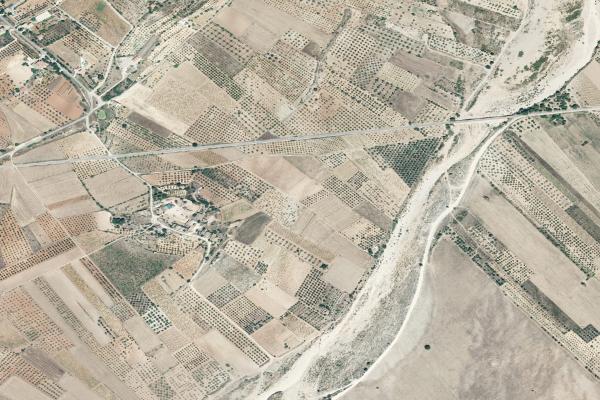 Castellón/Castelló