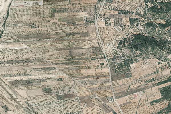 Castellón/Castelló