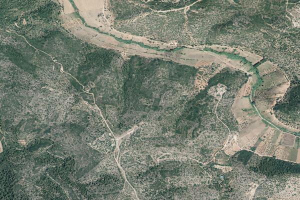 Castellón/Castelló