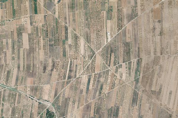 Castellón/Castelló