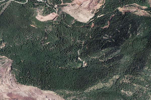 Castellón/Castelló