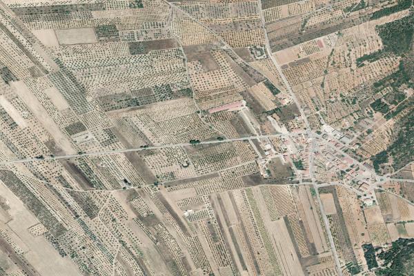 Castellón/Castelló