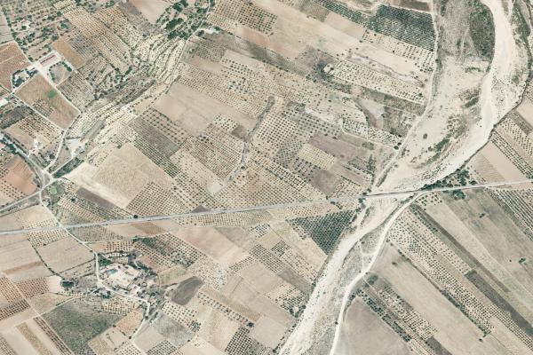 Castellón/Castelló