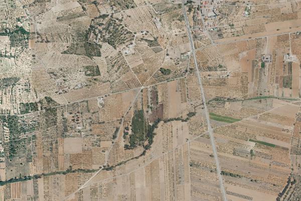 Castellón/Castelló