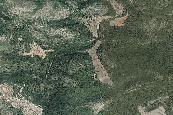 Castellón/Castelló