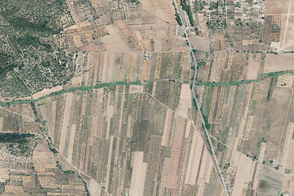 Castellón/Castelló