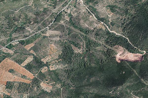 Castellón/Castelló