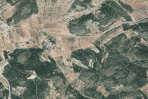 Castellón/Castelló