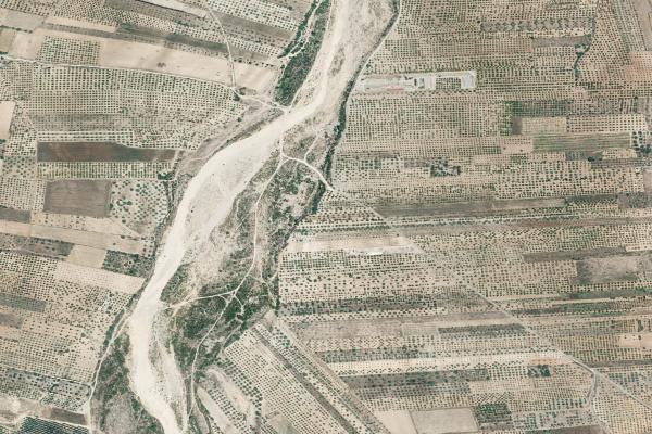 Castellón/Castelló