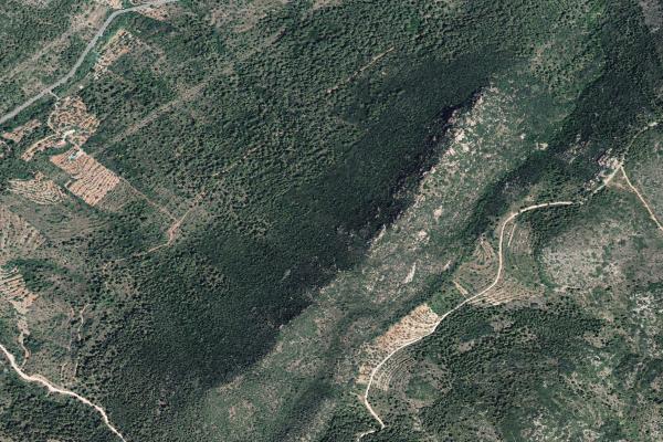 Subasta de Finca rústica en Castellón/Castelló - SubastaFácil