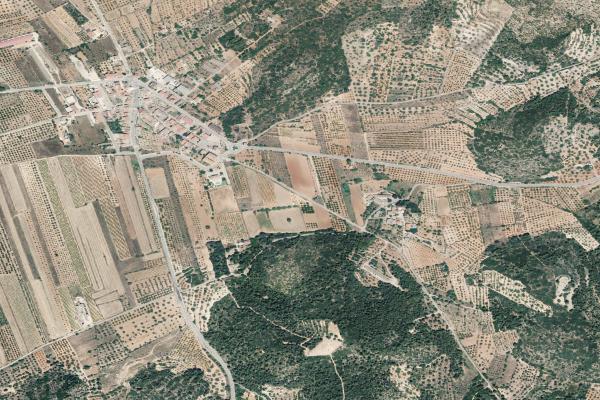 Subasta de Finca rústica en Castellón/Castelló - SubastaFácil