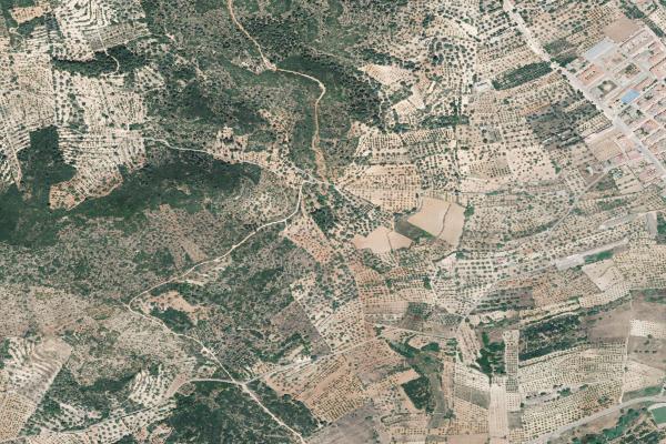 Subasta de Trastero en Castellón/Castelló - SubastaFácil