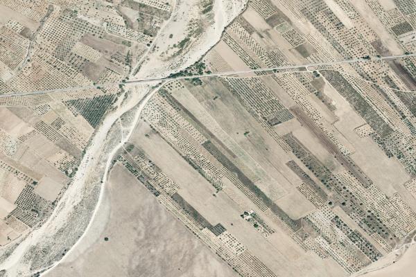 Subasta de Trastero en Castellón/Castelló - SubastaFácil