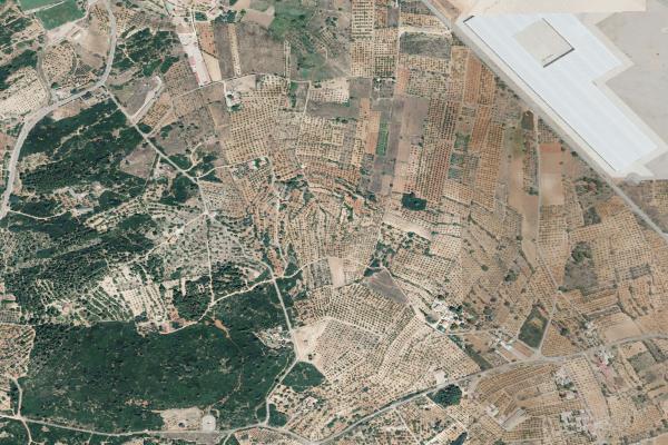 Subasta de Vivienda en Castellón/Castelló - SubastaFácil