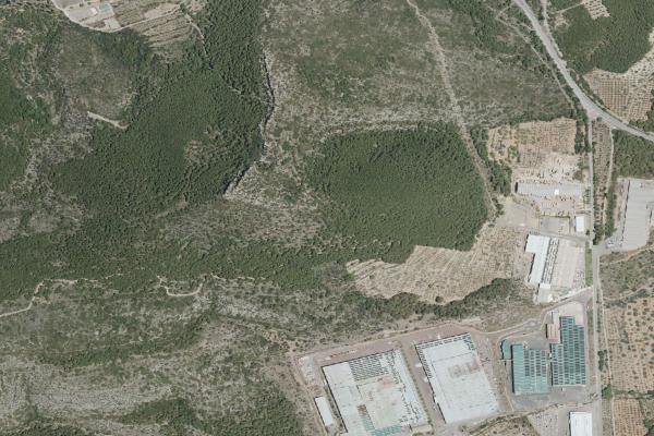Subasta de Finca rústica en Castellón/Castelló - SubastaFácil