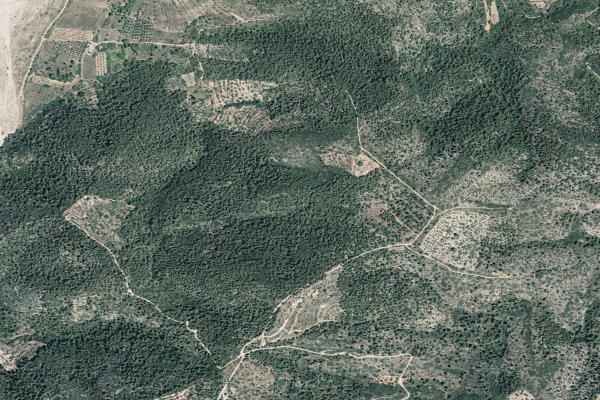 Subasta de Finca rústica en Castellón/Castelló - SubastaFácil