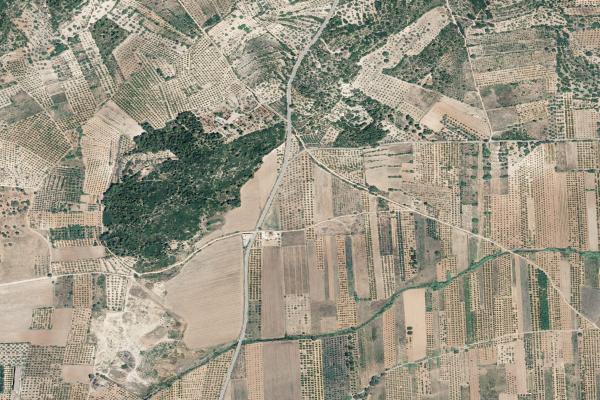 Subasta de Vivienda en Castellón/Castelló - SubastaFácil