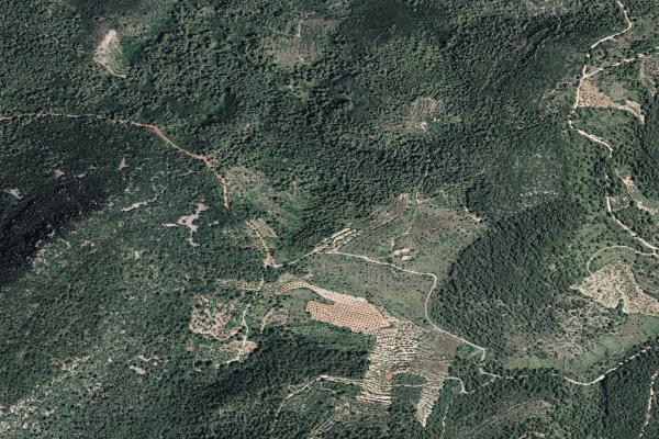 Subasta de Trastero en Castellón/Castelló - SubastaFácil