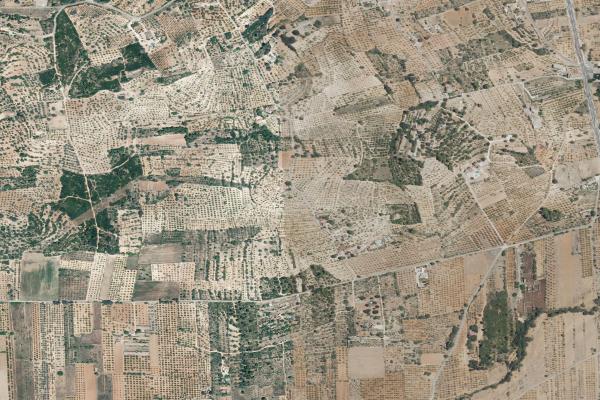 Vista aérea de vivienda en Nules (Castellón/Castelló)
