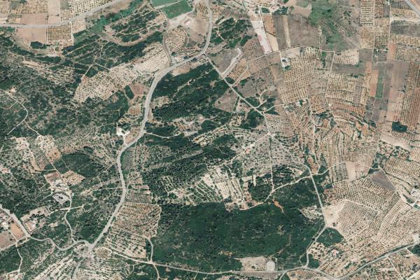 Vista aérea de finca rústica en Alcalà de Xivert (Castellón/Castelló)