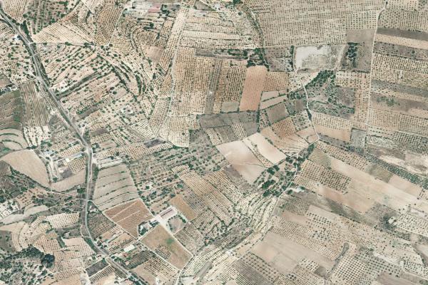 Vista aérea de vivienda en Nules (Castellón/Castelló)
