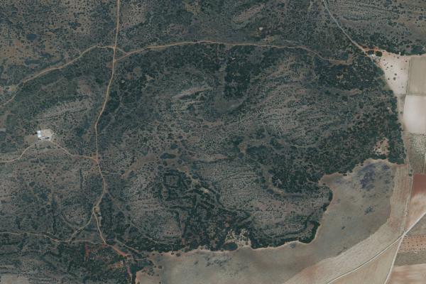 Subasta de Finca rústica en Ciudad Real - SubastaFácil