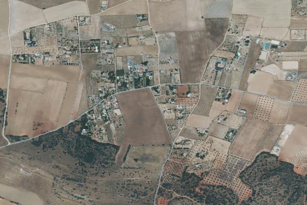 Subasta de Finca rústica en Ciudad Real - SubastaFácil