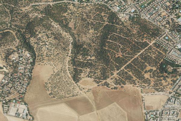 Subasta de Vivienda en Córdoba - SubastaFácil