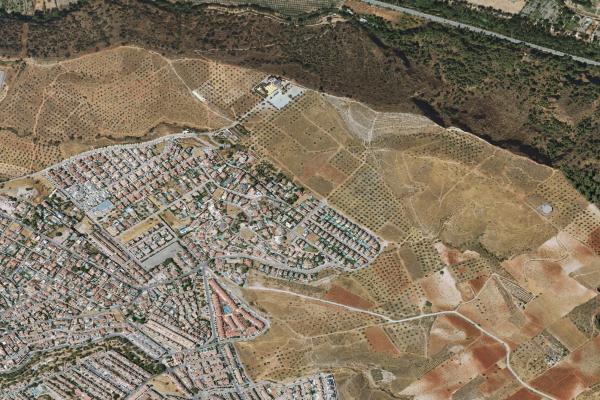 Subasta de Finca rústica en Granada - SubastaFácil