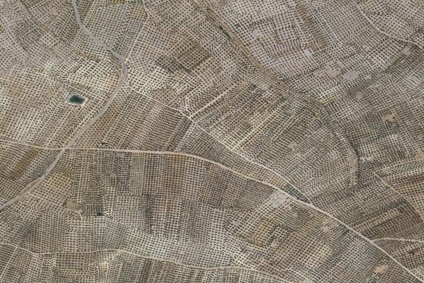 Subasta de Finca rústica en Jaén - SubastaFácil