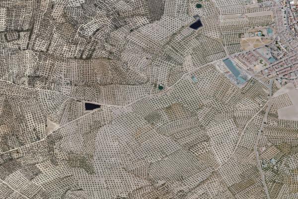 Vista aérea de finca rústica en Villares (los) (Jaén)