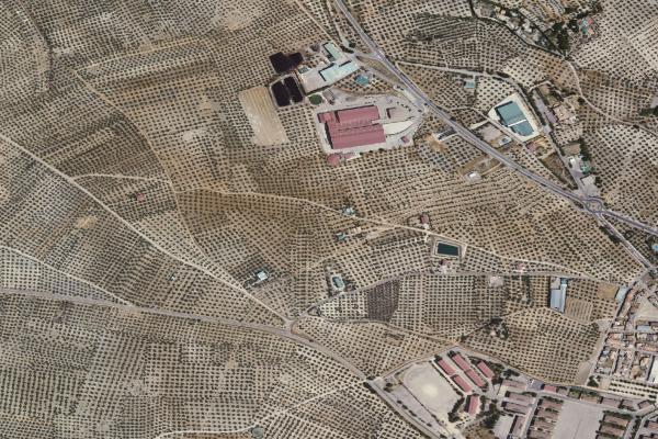 Vista aérea de finca rústica en Villares (los) (Jaén)