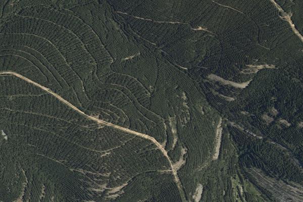Subasta de Finca rústica en La Rioja - SubastaFácil