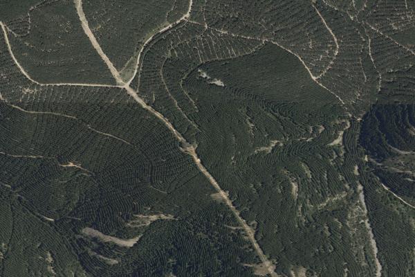 Subasta de Finca rústica en La Rioja - SubastaFácil