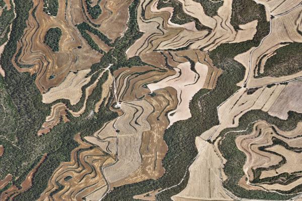 Subasta de Finca rústica en Lleida - SubastaFácil