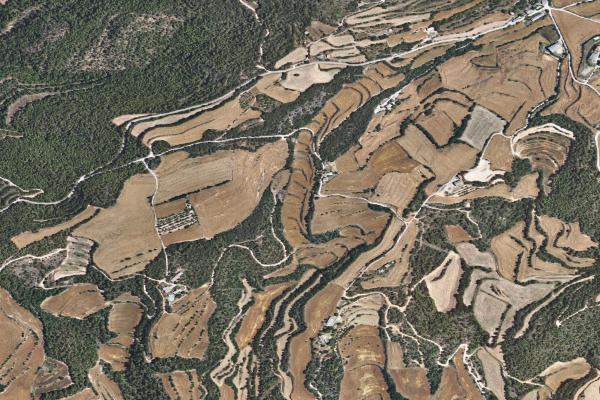 Subasta de Finca rústica en Lleida - SubastaFácil