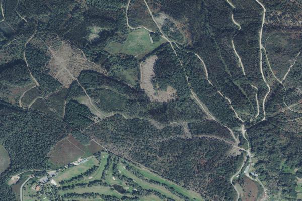 Subasta de Finca rústica en Pontevedra - SubastaFácil