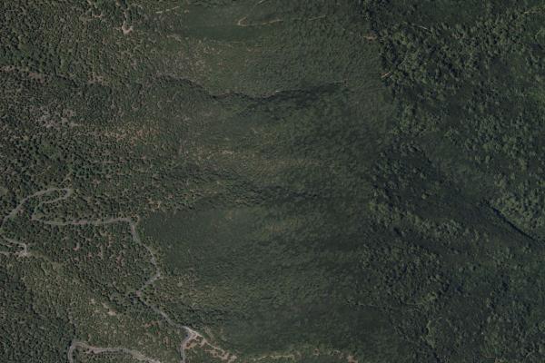 Santa Cruz de Tenerife