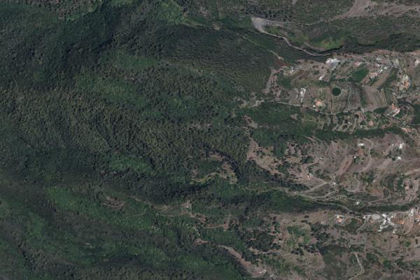 Santa Cruz de Tenerife