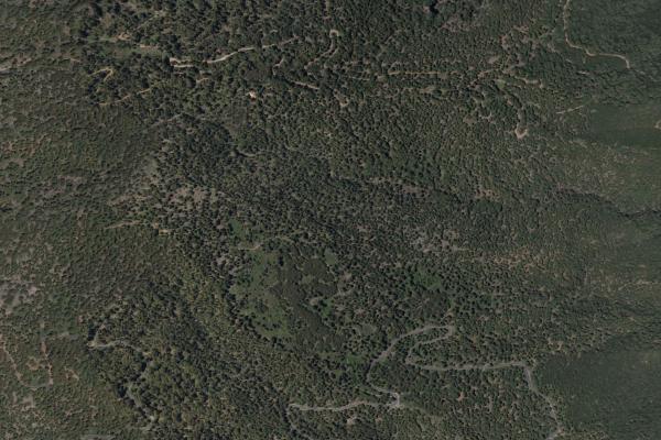 Santa Cruz de Tenerife