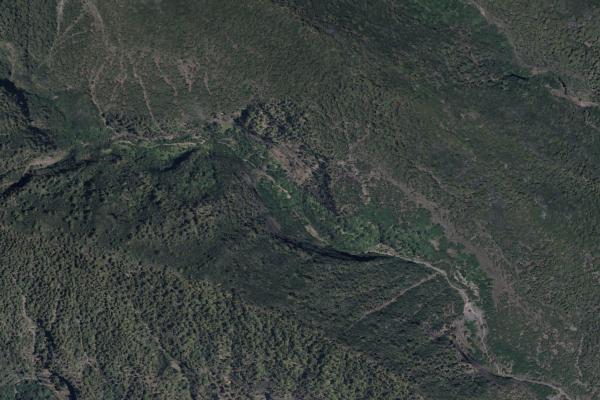 Santa Cruz de Tenerife