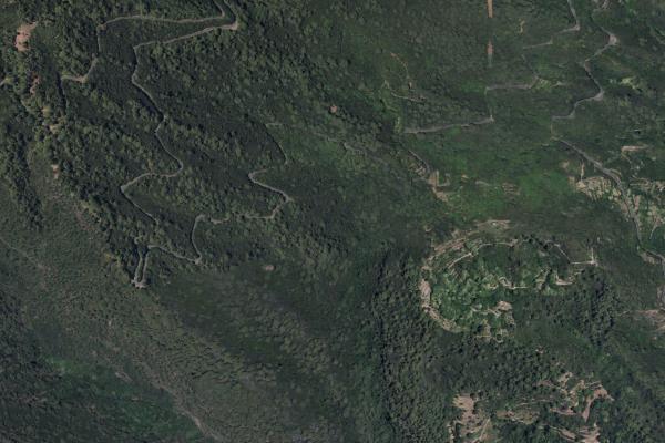 Santa Cruz de Tenerife