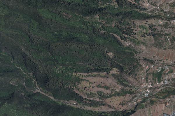 Santa Cruz de Tenerife