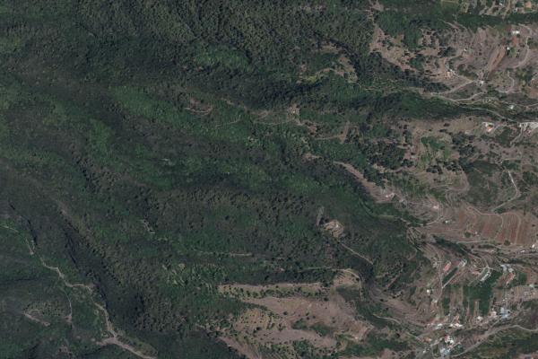 Santa Cruz de Tenerife