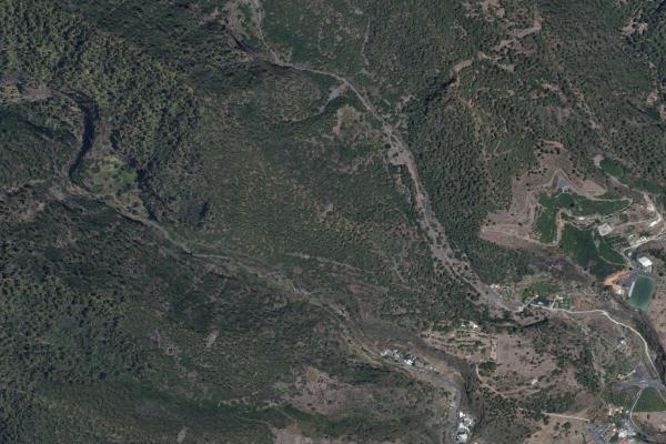 Santa Cruz de Tenerife