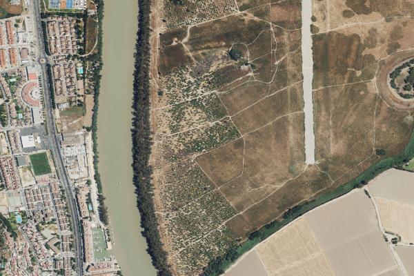 Subasta de Vivienda en Sevilla - SubastaFácil