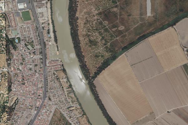 Subasta de Otros en Sevilla - SubastaFácil