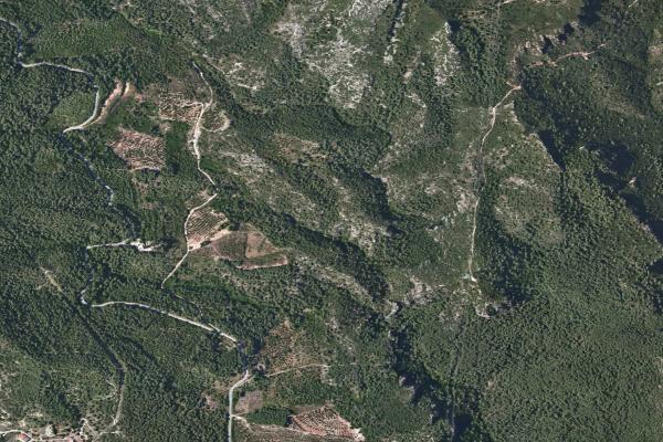 Subasta de Finca rústica en Tarragona - SubastaFácil